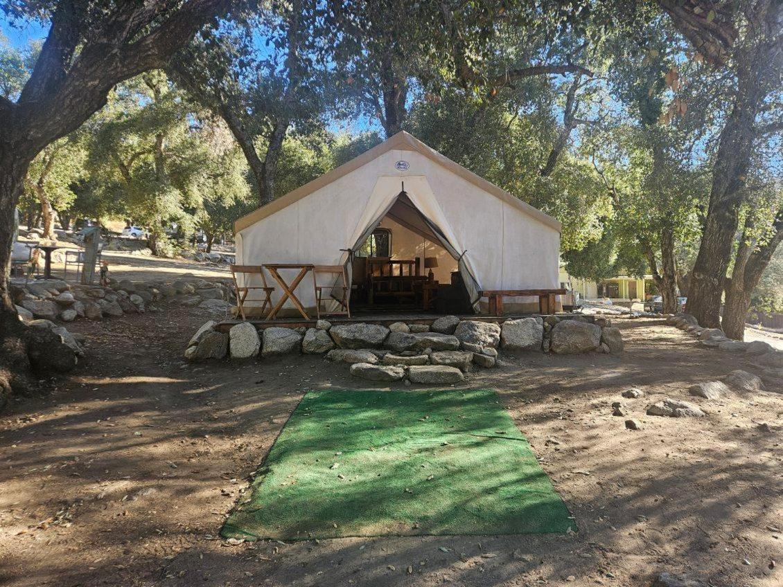 Oak Knoll Village Camping