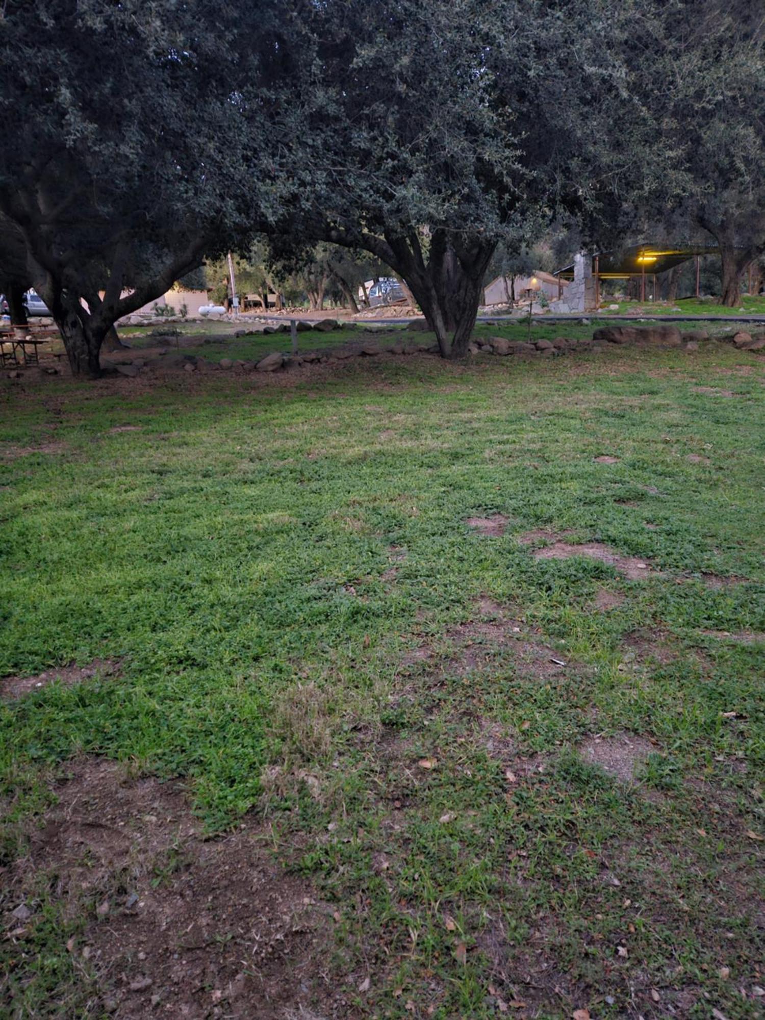 Oak Knoll Village Palomar Mountain